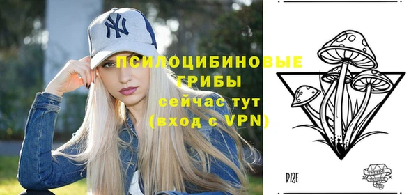 синтетический гашиш Богородск