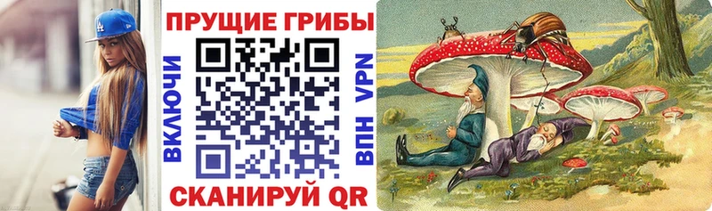hydra рабочий сайт  Кондрово  Галлюциногенные грибы Psilocybine cubensis  наркошоп 